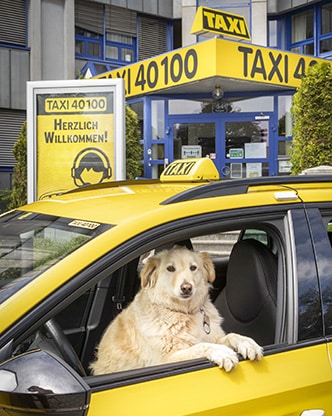 Taxi 40100 Senioren Hunde